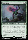 【JPN】深根の道探し/Deeproot Wayfinder[MTG_MOM_0184R]