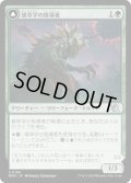 【JPN】★Foil★雑草学の指導者//疾病の発動者/Herbology Instructor//Malady Invoker[MTG_MOM_0189U]