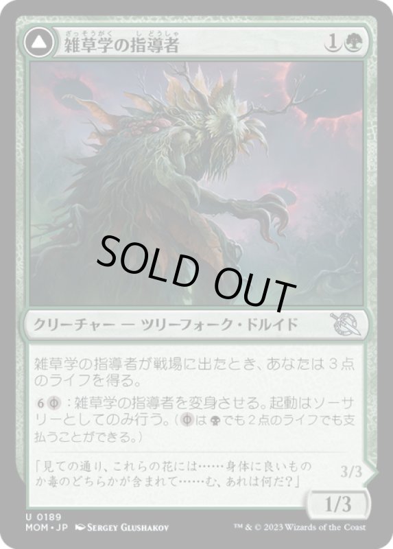 画像1: 【JPN】★Foil★雑草学の指導者//疾病の発動者/Herbology Instructor//Malady Invoker[MTG_MOM_0189U] (1)