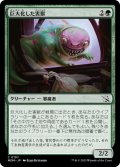 【JPN】巨大化した害獣/Overgrown Pest[MTG_MOM_0197C]