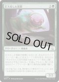 【JPN】★Foil★巨大化した害獣/Overgrown Pest[MTG_MOM_0197C]