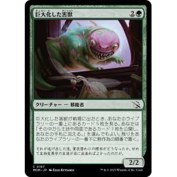 画像1: 【JPN】巨大化した害獣/Overgrown Pest[MTG_MOM_0197C]