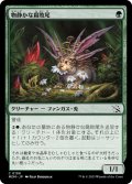 【JPN】物静かな腐敗尾/Placid Rottentail[MTG_MOM_0199C]