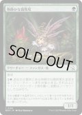 【JPN】★Foil★物静かな腐敗尾/Placid Rottentail[MTG_MOM_0199C]