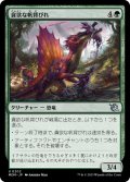 【JPN】貪欲な帆背びれ/Ravenous Sailback[MTG_MOM_0202U]