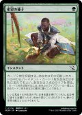 【JPN】希望の種子/Seed of Hope[MTG_MOM_0204C]