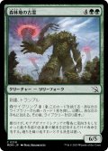 【JPN】森林地の古霊/Timberland Ancient[MTG_MOM_0210C]