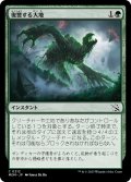 【JPN】復讐する大地/Vengeant Earth[MTG_MOM_0212C]