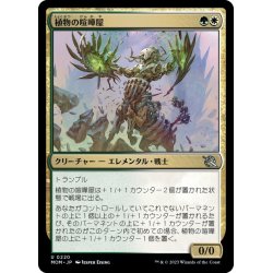 画像1: 【JPN】植物の喧嘩屋/Botanical Brawler[MTG_MOM_0220U]