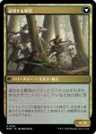 画像2: 【JPN】★Foil★ローウィンへの侵攻//選別する軍団/Invasion of Lorwyn//Winnowing Forces[MTG_MOM_0236U] (2)