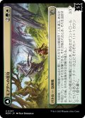 【JPN】モアグへの侵攻//花帯びのドライアド/Invasion of Moag//Bloomwielder Dryads[MTG_MOM_0237U]