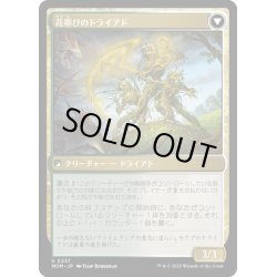 画像2: 【JPN】★Foil★モアグへの侵攻//花帯びのドライアド/Invasion of Moag//Bloomwielder Dryads[MTG_MOM_0237U]