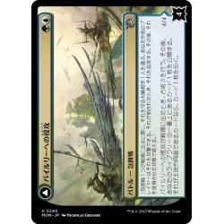 画像1: 【JPN】パイルリーへの侵攻//巨大な板岩角/Invasion of Pyrulea//Gargantuan Slabhorn[MTG_MOM_0240U]