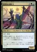 【JPN】変異体の鑑定人/Mutagen Connoisseur[MTG_MOM_0248U]