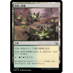 画像1: 【JPN】花咲く砂地/Blossoming Sands[MTG_MOM_0268L]