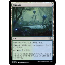 画像1: 【JPN】茨森の滝/Thornwood Falls[MTG_MOM_0274L]