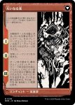 画像2: 【JPN】ウラブラスク/Urabrask[MTG_MOM_299M] (2)