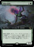 【JPN】★Foil★深根の道探し/Deeproot Wayfinder[MTG_MOM_369R]