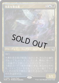 【JPN】光素を漁る者/Halo Forager[MTG_MOM_385P]