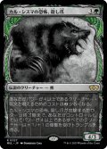 【JPN】★Foil★カル・シスマの恐怖、殺し爪/Goreclaw, Terror of Qal Sisma[MTG_MUL_027R]