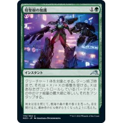 画像1: 【JPN】母聖樹の加護/Boon of Boseiju[MTG_NEO_176U]