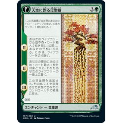 画像1: 【JPN】天空に到る母聖樹/Boseiju Reaches Skyward//母聖樹の枝/Branch of Boseiju[MTG_NEO_177U]