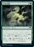 【JPN】入念な栽培/Careful Cultivation[MTG_NEO_178C]