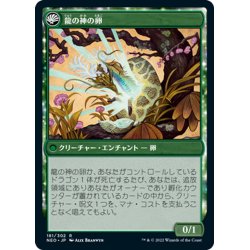 画像2: 【JPN】龍の神の再誕/The Dragon-Kami Reborn//龍の神の卵/Dragon-Kami's Egg[MTG_NEO_181R]