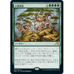 画像1: 【JPN】古霊招来/Invoke the Ancients[MTG_NEO_193R]