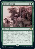 【JPN】芽吹く生命の行進/March of Burgeoning Life[MTG_NEO_201R]