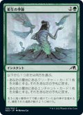 【JPN】更生の季節/Season of Renewal[MTG_NEO_205C]