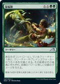 【JPN】旋輪脚/Spinning Wheel Kick[MTG_NEO_207U]