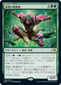 【JPN】春葉の報復者/Spring-Leaf Avenger[MTG_NEO_208R]