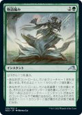 【JPN】物語編み/Storyweave[MTG_NEO_209U]