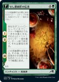 【JPN】せし郎師匠の伝承/Tales of Master Seshiro//せし郎の生ける遺産/Seshiro's Living Legacy[MTG_NEO_210C]