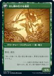 画像2: 【JPN】せし郎師匠の伝承/Tales of Master Seshiro//せし郎の生ける遺産/Seshiro's Living Legacy[MTG_NEO_210C] (2)