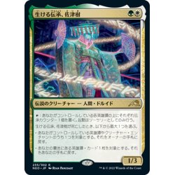 画像1: 【JPN】生ける伝承、佐津樹/Satsuki, the Living Lore[MTG_NEO_235R]