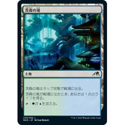 画像1: 【JPN】茨森の滝/Thornwood Falls[MTG_NEO_279C]