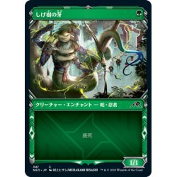 画像1: 【JPN】しげ樹の牙/Fang of Shigeki[MTG_NEO_347C]