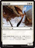 【JPN】探検の猛禽/Expedition Raptor[MTG_OGW_018C]