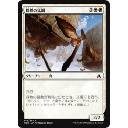 画像1: 【JPN】探検の猛禽/Expedition Raptor[MTG_OGW_018C]