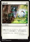 【JPN】焼尽の光/Searing Light[MTG_OGW_033C]