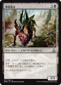 【JPN】惨状蒔き/Havoc Sower[MTG_OGW_071U]