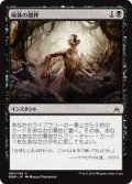 【JPN】屍体の攪拌/Corpse Churn[MTG_OGW_083C]