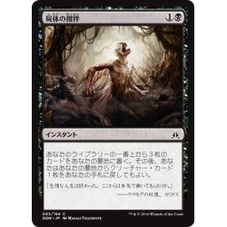 画像1: 【JPN】屍体の攪拌/Corpse Churn[MTG_OGW_083C]