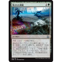 画像1: 【JPN】残された廃墟/Ruin in Their Wake[MTG_OGW_122U]