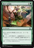 【JPN】死すべき定め/Bonds of Mortality[MTG_OGW_128U]