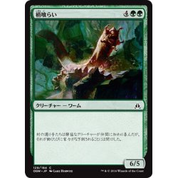 画像1: 【JPN】梢喰らい/Canopy Gorger[MTG_OGW_129C]