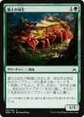 【JPN】壌土の幼生/Loam Larva[MTG_OGW_135C]