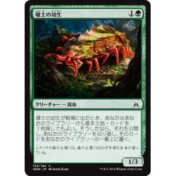 画像1: 【JPN】壌土の幼生/Loam Larva[MTG_OGW_135C]